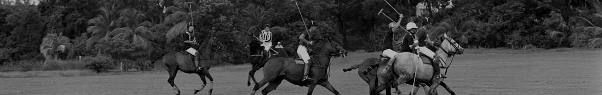 Close Up of Shirting and Sheeting fabric. Clean white fabric against natural brown background.